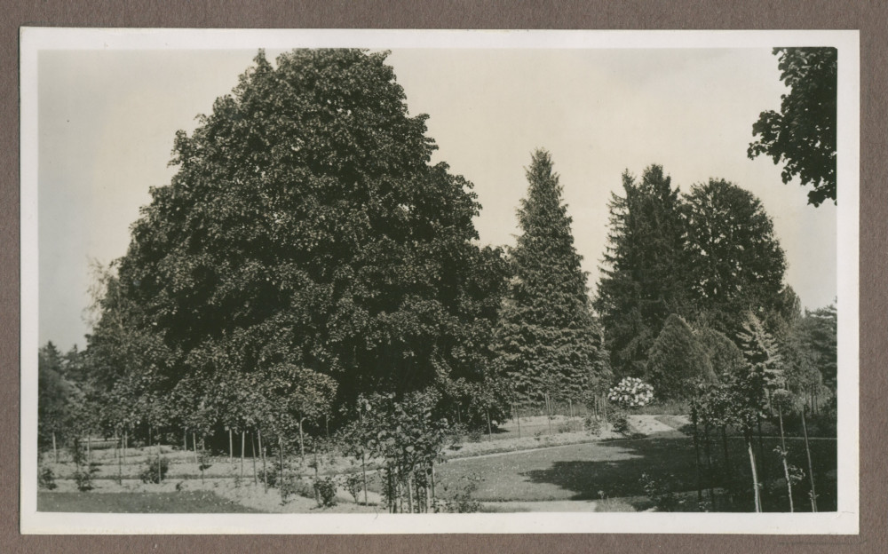 Photographie d'un petit chemin dans le jardin de la propriété de Riond-Bosson en 1935