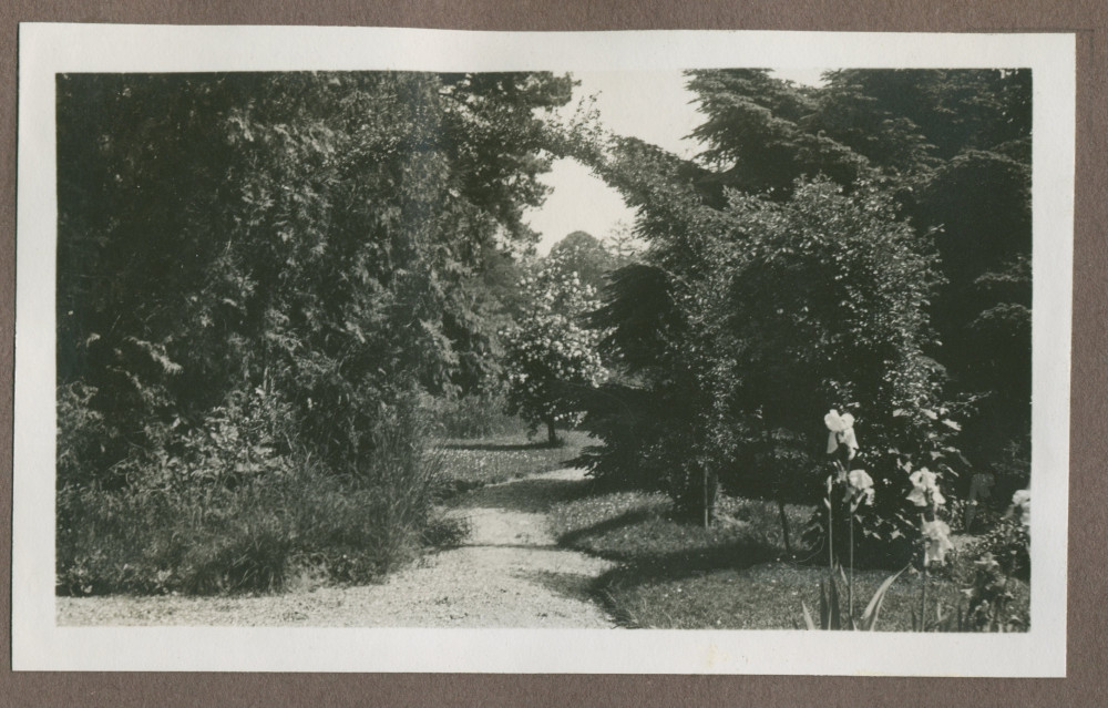 Photographie d'un petit chemin dans le jardin de la propriété de Riond-Bosson en 1935