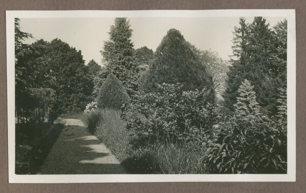 Photographie d'un petit chemin dans le jardin de la propriété de Riond-Bosson en 1935