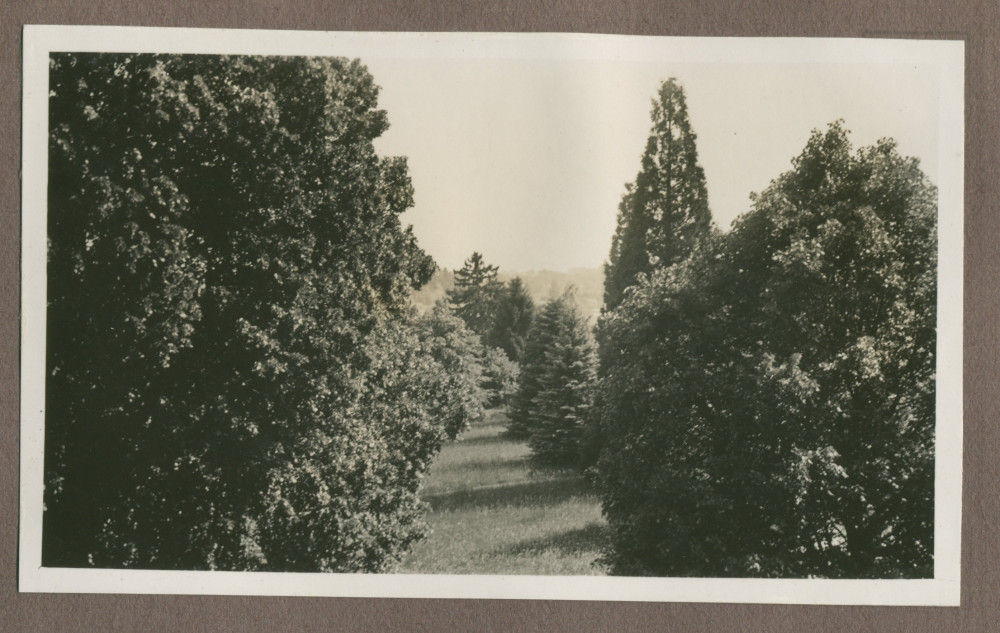 Photographie du jardin de la propriété de Riond-Bosson en 1935