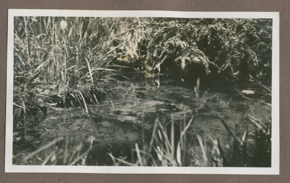 Photographie d'un étang dans le jardin de la propriété de Riond-Bosson en 1935