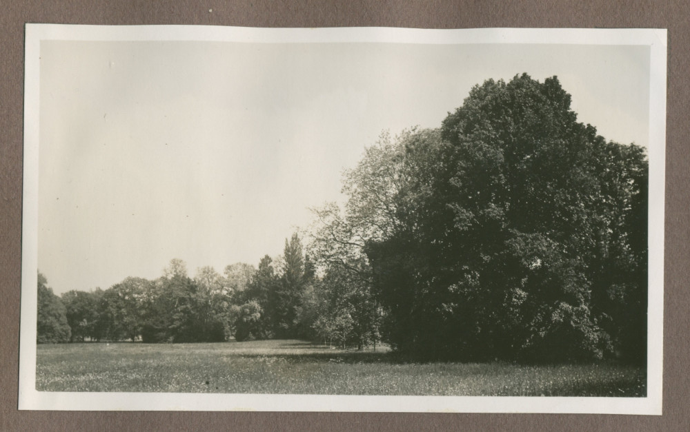 Photographie du parc de la propriété de Riond-Bosson en 1935