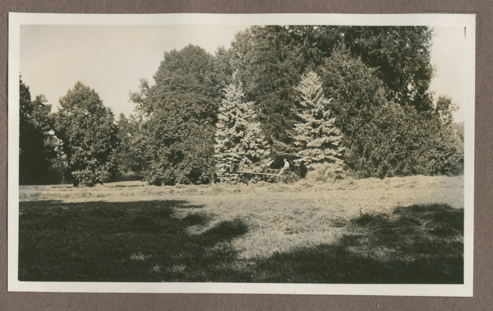 Photographie du parc de la propriété de Riond-Bosson en 1935 avec un char à cheval faisant les foins