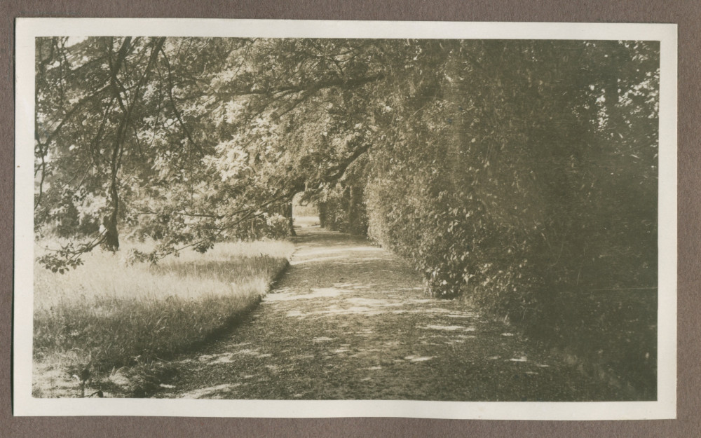 Photographie d'une allée arborisée dans le jardin de la propriété de Riond-Bosson en 1935