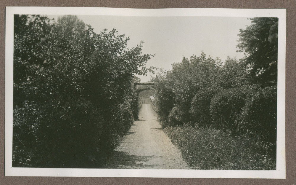 Photographie d'une allée arborisée dans le jardin de la propriété de Riond-Bosson en 1935