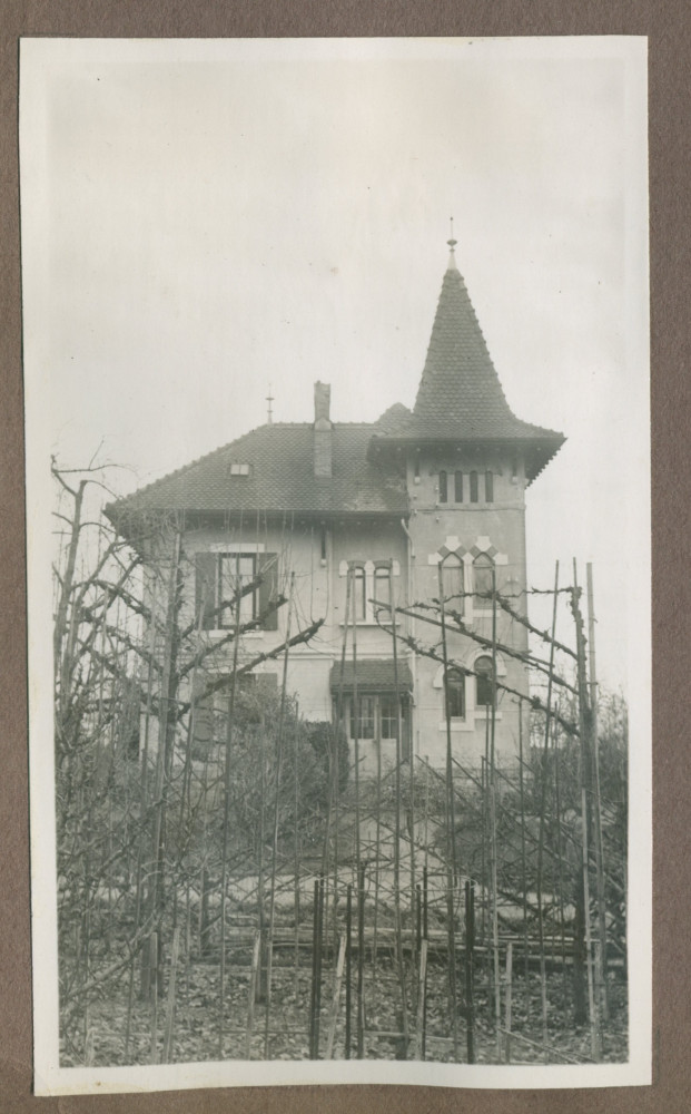 Photographie de cultures maraîchères dans le jardin de la propriété de Riond-Bosson en 1935, avec en arrière-plan la maison Dolézal (du jardinier)