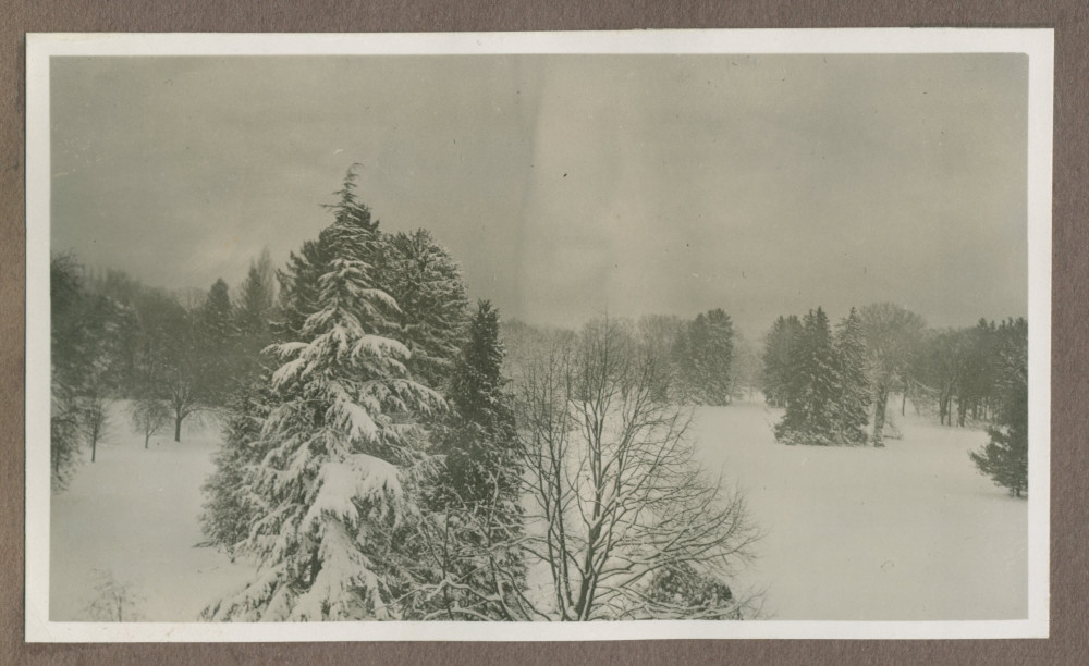 Photographie du parc de la propriété de Riond-Bosson en 1935 sous la neige, vu depuis la terrasse de la villa