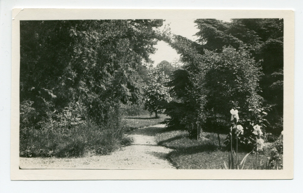 Photographie de l'allée menant à la fontaine de la propriété de Riond-Bosson