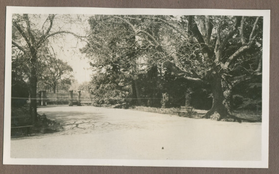 Photographie de l'allée intérieure menant au portail nord de la propriété de Riond-Bosson en 1935
