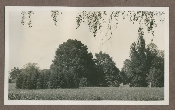 Photographie du jardin de la propriété de Riond-Bosson en 1935