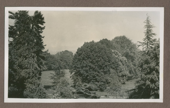 Photographie du jardin de la propriété de Riond-Bosson en 1935