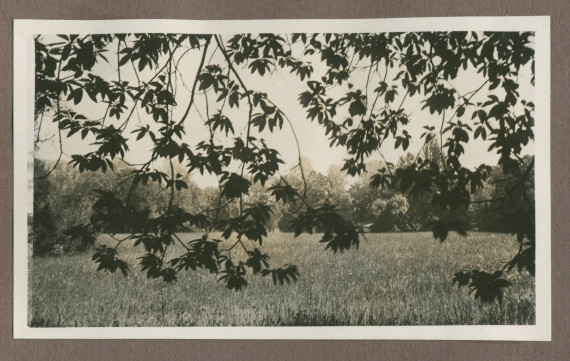 Photographie du jardin de la propriété de Riond-Bosson en 1935