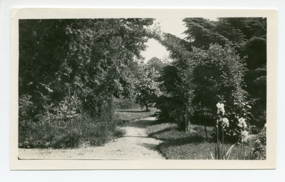 Photographie de l'allée menant à la fontaine de la propriété de Riond-Bosson