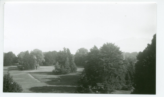 Photographies d'arbres du parc de la propriété de Riond-Bosson (a-e)