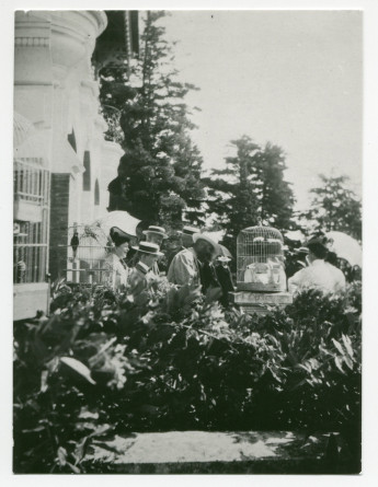Photographie des perroquets dans leurs cages sur la terrasse de Riond-Bosson, observés par plusieurs personnes avec canotiers et ombrelles