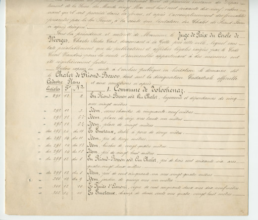 Acte n° 1751 de mise en vente à l'enchère publique sur licitation du «Chalet de Riond-Bosson» réalisée le 3 juillet 1879 devant le notaire Louis Monay, à Morges