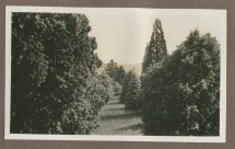 Photographie du jardin de la propriété de Riond-Bosson en 1935