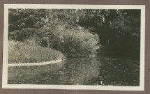 Photographie d'un étang dans le jardin de la propriété de Riond-Bosson en 1935