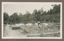 Photographie du potager dans le jardin de la propriété de Riond-Bosson en 1935, avec le jardinier Dolézal au travail