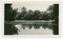 Photographies de l'étang de la propriété de Riond-Bosson avec ses poissons d'or